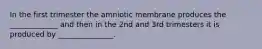 In the first trimester the amniotic membrane produces the _____________ and then in the 2nd and 3rd trimesters it is produced by _______________.