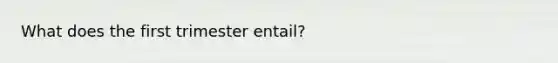 What does the first trimester entail?