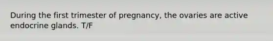 During the first trimester of pregnancy, the ovaries are active endocrine glands. T/F