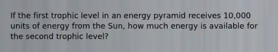 If the first trophic level in an energy pyramid receives 10,000 units of energy from the Sun, how much energy is available for the second trophic level?