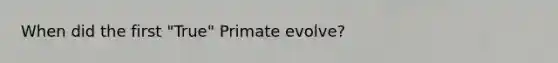 When did the first "True" Primate evolve?