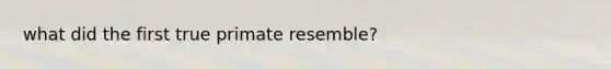 what did the first true primate resemble?