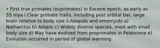 • First true primates (euprimates) in Eocene epoch, as early as 55 mya i.Clear primate traits, including post orbital bar, large brain relative to body size ii.Adapids and omomyids a) Notharctus b) Adapis c) Widely diverse species, most with small body size d) May have evolved from proprimates in Paleocene e) Evolution occurred in period of global warming