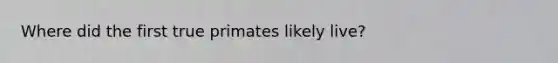 Where did the first true primates likely live?