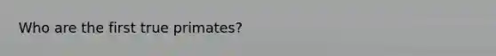 Who are the first true primates?