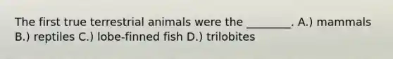 The first true terrestrial animals were the ________. A.) mammals B.) reptiles C.) lobe-finned fish D.) trilobites