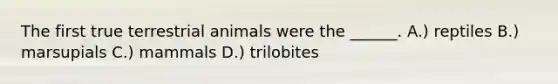 The first true terrestrial animals were the ______. A.) reptiles B.) marsupials C.) mammals D.) trilobites