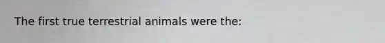 The first true terrestrial animals were the: