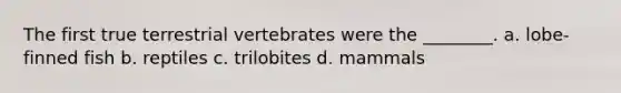 The first true terrestrial vertebrates were the ________. a. lobe-finned fish b. reptiles c. trilobites d. mammals