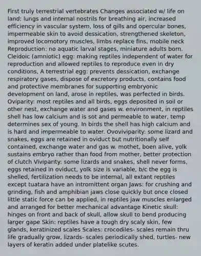 First truly terrestrial vertebrates Changes associated w/ life on land: lungs and internal nostrils for breathing air, increased efficiency in vascular system, loss of gills and opercular bones, impermeable skin to avoid dessication, strengthened skeleton, improved locomotory muscles, limbs replace fins, mobile neck Reproduction: no aquatic larval stages, miniature adults born. Cleidoic (amniotic) egg: making reptiles independent of water for reproduction and allowed reptiles to reproduce even in dry conditions, A terrestrial egg: prevents dessication, exchange respiratory gases, dispose of excretory products, contains food and protective membranes for supporting embryonic development on land, arose in reptiles, was perfected in birds. Oviparity: most reptiles and all birds, eggs deposited in soil or other nest, exchange water and gases w. environment, in reptiles shell has low calcium and is sot and permeable to water, temp determines sex of young. In birds the shell has high calcium and is hard and impermeable to water. Ovoviviparity: some lizard and snakes, eggs are retained in oviduct but nutritionally self contained, exchange water and gas w. mothet, boen alive, yolk sustains embryo rather than food from mother, better protection of clutch Viviparity: some lizards and snakes, shell never forms, eggs retained in oviduct, yolk size is variable, b/c the egg is shelled, fertilization needs to be internal, all extant reptiles except tuatara have an intromittent organ Jaws: for crushing and grinding, fish and amphibian jaws close quickly but once closed little static force can be applied, in reptiles jaw muscles enlarged and arranged for better mechanical advantage Kinetic skull: hinges on front and back of skull, allow skull to bend producing larger gape Skin: reptiles have a tough dry scaly skin, few glands, keratinized scales Scales: crocodiles- scales remain thru life gradually grow, lizards- scales periodically shed, turtles- new layers of keratin added under platelike scutes.