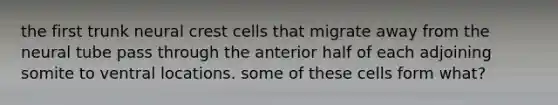 the first trunk neural crest cells that migrate away from the neural tube pass through the anterior half of each adjoining somite to ventral locations. some of these cells form what?