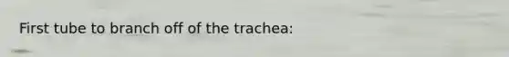 First tube to branch off of the trachea: