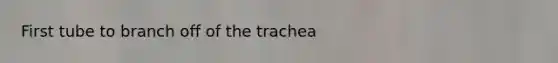 First tube to branch off of the trachea