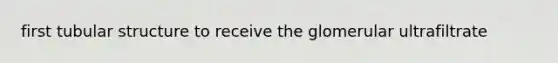 first tubular structure to receive the glomerular ultrafiltrate