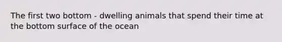 The first two bottom - dwelling animals that spend their time at the bottom surface of the ocean