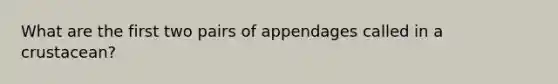 What are the first two pairs of appendages called in a crustacean?