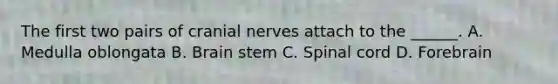 The first two pairs of cranial nerves attach to the ______. A. Medulla oblongata B. Brain stem C. Spinal cord D. Forebrain