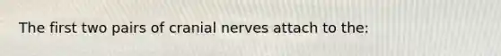 The first two pairs of cranial nerves attach to the: