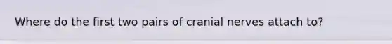 Where do the first two pairs of cranial nerves attach to?