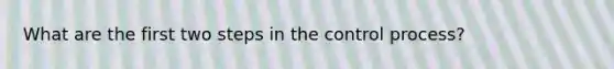 What are the first two steps in the control process?