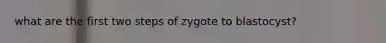 what are the first two steps of zygote to blastocyst?