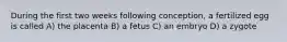 During the first two weeks following conception, a fertilized egg is called A) the placenta B) a fetus C) an embryo D) a zygote