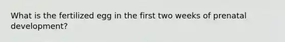 What is the fertilized egg in the first two weeks of <a href='https://www.questionai.com/knowledge/kMumvNdQFH-prenatal-development' class='anchor-knowledge'>prenatal development</a>?