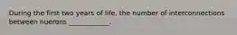 During the first two years of life, the number of interconnections between nuerons ____________.