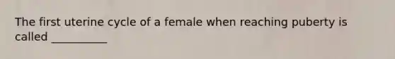 The first uterine cycle of a female when reaching puberty is called __________