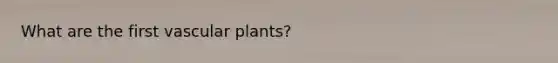 What are the first vascular plants?