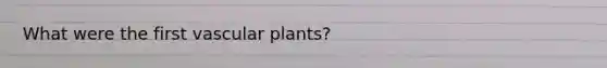 What were the first vascular plants?