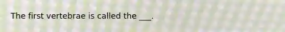 The first vertebrae is called the ___.