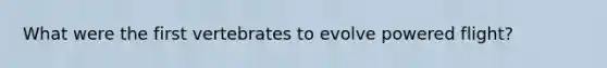 What were the first vertebrates to evolve powered flight?