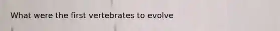 What were the first vertebrates to evolve