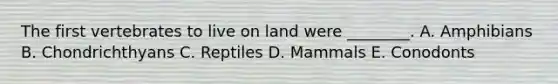 The first vertebrates to live on land were ________. A. Amphibians B. Chondrichthyans C. Reptiles D. Mammals E. Conodonts