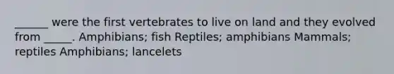 ______ were the first vertebrates to live on land and they evolved from _____. Amphibians; fish Reptiles; amphibians Mammals; reptiles Amphibians; lancelets