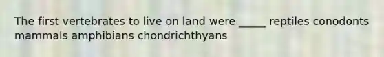 The first vertebrates to live on land were _____ reptiles conodonts mammals amphibians chondrichthyans