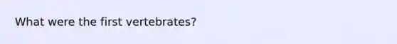 What were the first vertebrates?