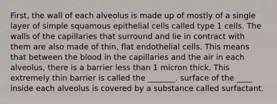 First, the wall of each alveolus is made up of mostly of a single layer of simple squamous epithelial cells called type 1 cells. The walls of the capillaries that surround and lie in contract with them are also made of thin, flat endothelial cells. This means that between the blood in the capillaries and the air in each alveolus, there is a barrier less than 1 micron thick. This extremely thin barrier is called the _______. surface of the ____ inside each alveolus is covered by a substance called surfactant.