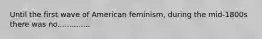 Until the first wave of American feminism, during the mid-1800s there was no..............