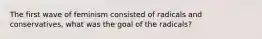 The first wave of feminism consisted of radicals and conservatives, what was the goal of the radicals?