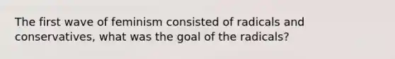 The first wave of feminism consisted of radicals and conservatives, what was the goal of the radicals?