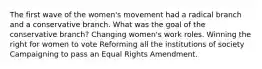 The first wave of the women's movement had a radical branch and a conservative branch. What was the goal of the conservative branch? Changing women's work roles. Winning the right for women to vote Reforming all the institutions of society Campaigning to pass an Equal Rights Amendment.