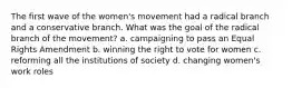 The first wave of the women's movement had a radical branch and a conservative branch. What was the goal of the radical branch of the movement? a. campaigning to pass an Equal Rights Amendment b. winning the right to vote for women c. reforming all the institutions of society d. changing women's work roles