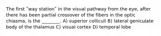 The first ʺway stationʺ in the visual pathway from the eye, after there has been partial crossover of the fibers in the optic chiasma, is the ________. A) superior colliculi B) lateral geniculate body of the thalamus C) visual cortex D) temporal lobe