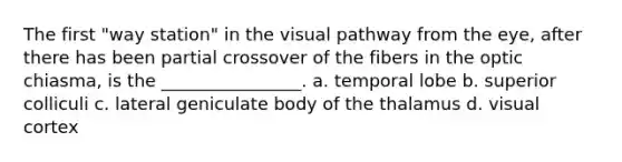 The first "way station" in the visual pathway from the eye, after there has been partial crossover of the fibers in the optic chiasma, is the ________________. a. temporal lobe b. superior colliculi c. lateral geniculate body of the thalamus d. visual cortex