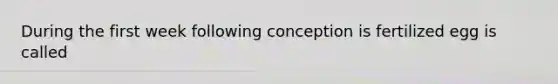 During the first week following conception is fertilized egg is called