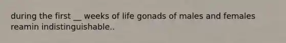 during the first __ weeks of life gonads of males and females reamin indistinguishable..