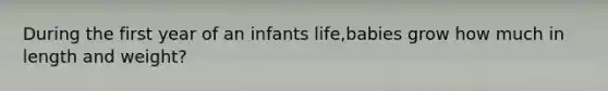 During the first year of an infants life,babies grow how much in length and weight?