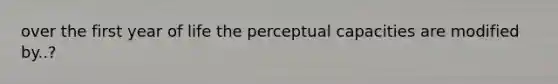 over the first year of life the perceptual capacities are modified by..?